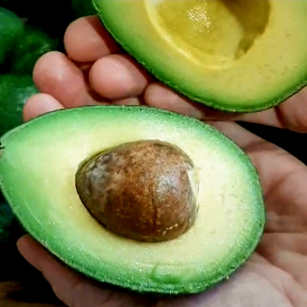 Avokado ready to eat z Kréty v dlaních rozřízlé napůl